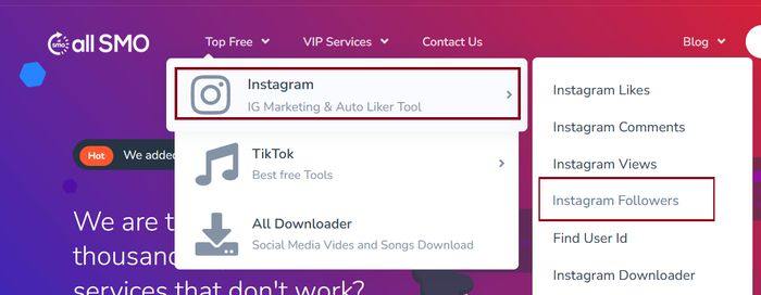 free Instagram followers by AllSMO