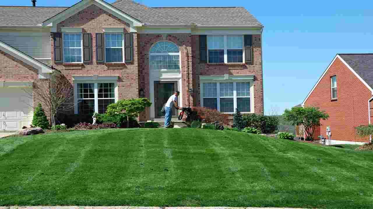 7 Key Benefits of Professional Lawn Care