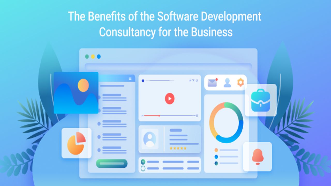 Software Development Consultancy